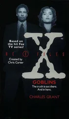 Charles Grant - The X-Files - Goblins
