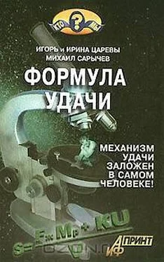 Ирина Царева Формула удачи обложка книги