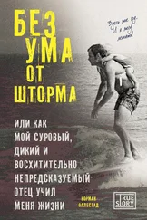 Норман Оллестад - Без ума от шторма, или Как мой суровый, дикий и восхитительно непредсказуемый отец учил меня жизни