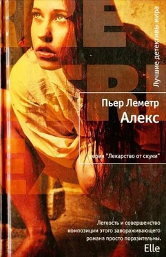 Пьер Леметр Алекс обложка книги