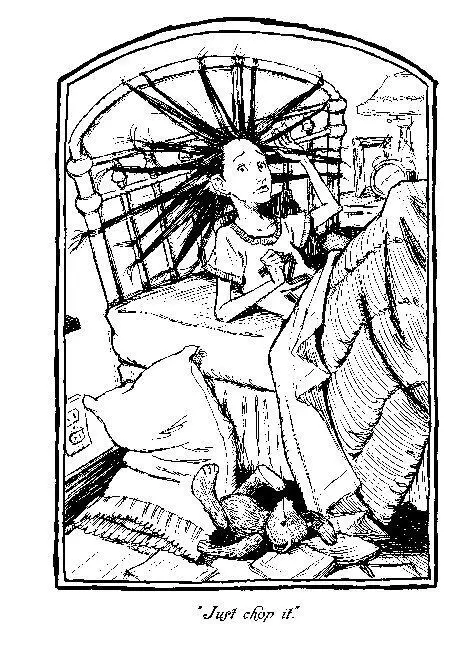 DiTerlizzi Tony The Spiderwick Chronicles 01 The Field Guide pdf - фото 56