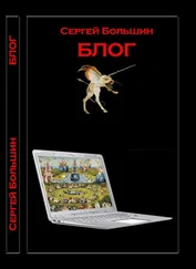 Сергей Большин - Блог