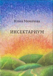 Юлия Мамочева - Инсектариум