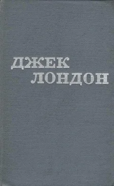 Джек Лондон Твори в 12 томах. Том 11 обложка книги