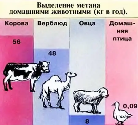 Что делать Первое что приходит в голову затормозить темпы роста - фото 8