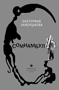 Екатерина Завершнева Сомнамбула обложка книги