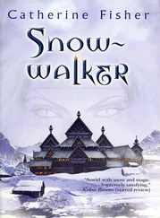 Catherine Fisher - Snow-Walker