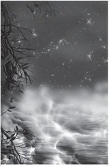 Catherine Fisher - The Lost Heiress