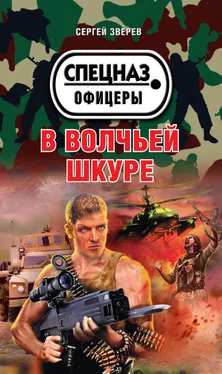 Сергей Зверев В волчьей шкуре обложка книги