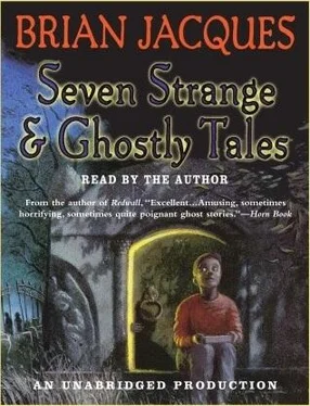 Seven Strange Brian Jacques обложка книги
