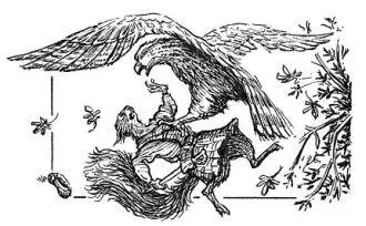 As he was knocked from the tree Tam glimpsed a fierce goldrimmed eye Then - фото 23