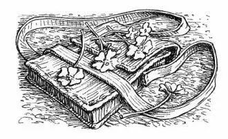 Abbot Humble and his team of Redwallers helped the Long Patrol carry their - фото 26