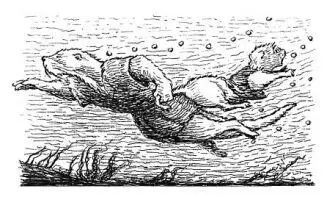 Gulo the Savage was in a killing rage the proof of which was laid out in front - фото 28