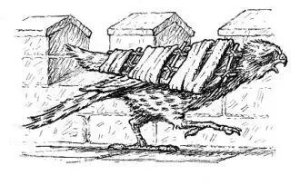 Tergen did not like wearing a splint upon his wing it irked him and hampered - фото 29