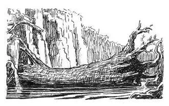 Gulo the Savage and his twentynine vermin arrived at the broad stream too - фото 38