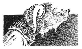 Abbot Humble was halfway between sleep and wakefulness in the grey dawn when he - фото 41