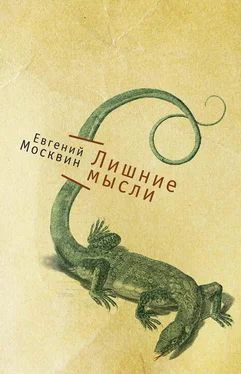 Евгений Москвин Лишние мысли обложка книги