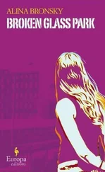 Alina Bronsky - Broken Glass Park