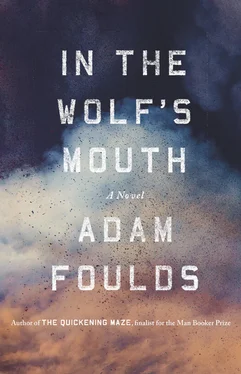 Adam Foulds In the Wolf's Mouth обложка книги