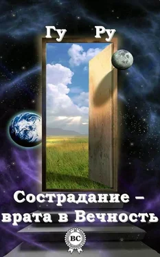 Гу Ру Сострадание – врата в Вечность обложка книги