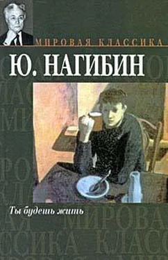 Юрий Нагибин Любимый ученик обложка книги