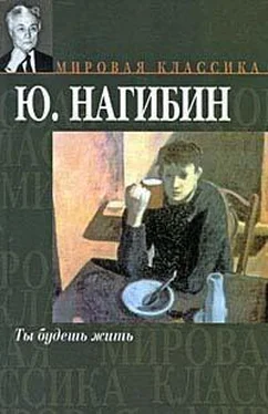 Юрий Нагибин Мягкая посадка обложка книги