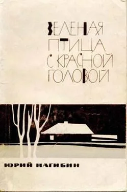 Юрий Нагибин Тихон Петрович обложка книги