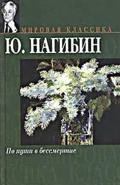 Юрий Нагибин Мадемуазель обложка книги