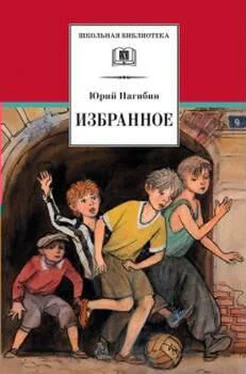 Юрий Нагибин Рассказ о себе обложка книги