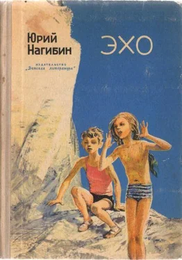 Юрий Нагибин Любовь и знамя обложка книги