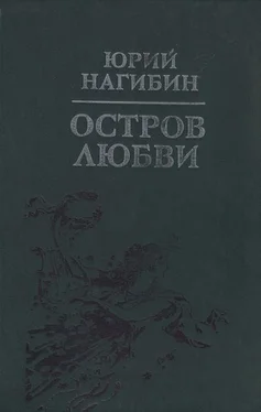 Юрий Нагибин Беглец обложка книги