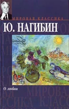 Юрий Нагибин Перекур обложка книги