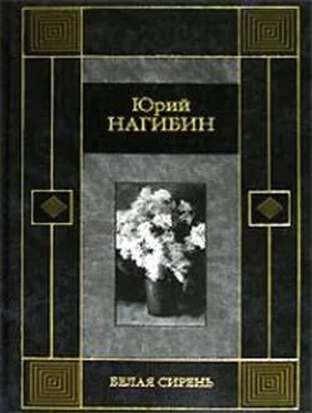 Юрий Нагибин Белая сирень обложка книги