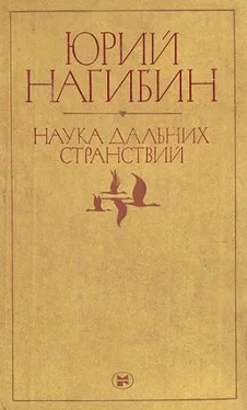 Юрий Нагибин Островитянин (Сон о Юхане Боргене) обложка книги