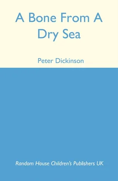 Peter Dickinson A Bone From a Dry Sea обложка книги