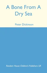 Peter Dickinson - A Bone From a Dry Sea