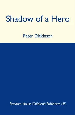 Peter Dickinson Shadow of a Hero обложка книги