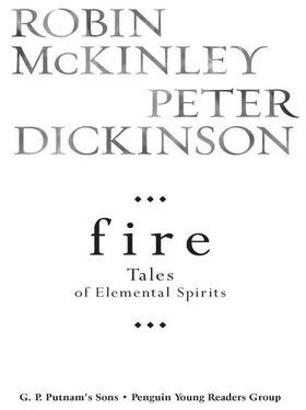 Robin McKinley Fire: Tales of Elemental Spirits обложка книги