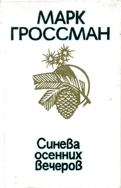 Марк Гроссман Синева осенних вечеров обложка книги