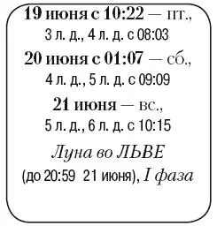Что сделать Собрать и переработать ягоды и огурцы умеренно полить грядки с - фото 101