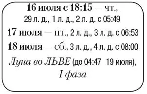 Что сделать Заняться хозяйственными работами убрать участок сжечь мусор - фото 117