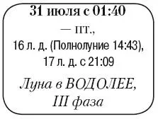Что сделать Заняться обработкой почвы очищение рыхление мульчирование - фото 123
