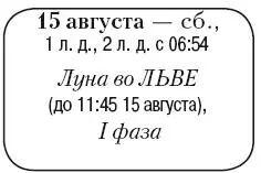 Что сделать Собрать и переработать ягоды и огурцы умерено полить грядки с - фото 132