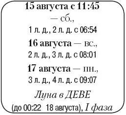 Что сделать Собрать овощи и ягоды для быстрого употребления Подкормить - фото 133