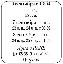 Что сделать Убрать и сжечь мусор на участке Посадить луковичные цветы - фото 144