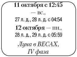 Что сделать Привести в порядок садовоогородный инвентарь после его - фото 162