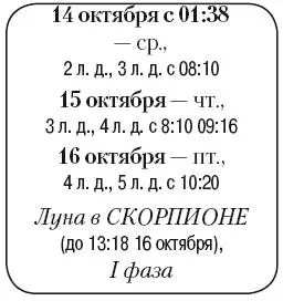 Что сделать Произвести работы по снегозадержанию Продолжить борьбу с - фото 164