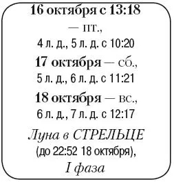 Что сделать Если выпал снег произвести работы по снегозадержанию - фото 165