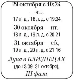 Что сделать Продолжить заготовку дров на зиму Разрыхлить и внести удобрения - фото 172