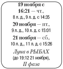 Что сделать Посеять растения из семян Полить и подкормить комнатные цветы и - фото 184